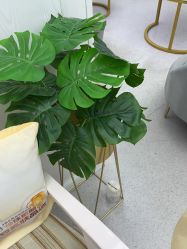 -仁爱时光·华中AI体雕·抗衰中心旗舰店