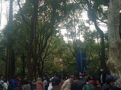 -人民公园-相亲角