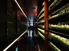 大堂-L'ATELIER de Joel Robuchon(外滩18号店)