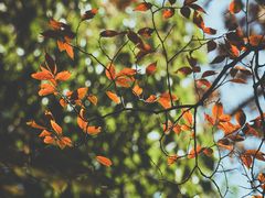 -上海交通大学(闵行校区)