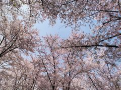 -龙美术馆(西岸馆)