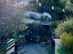 -自由生长植物工作室(深港花卉中心店)
