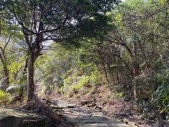 -桃花岛风景旅游区
