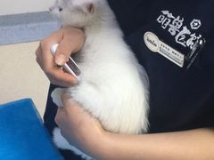 -萌兽医馆·绝育·24小时内科·宠物医院(德胜店)