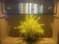 -足本纪·足道 SPA 简餐 小吃(百官广场店)