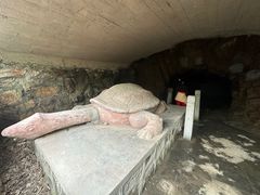 -上海佘山国家森林公园天马山园