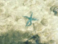 -东姑阿都拉曼海洋公园