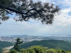 -惠山国家森林公园
