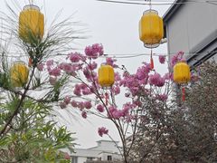 -水云间·园林餐厅(大龙店)