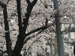 -上海南浦大桥长途旅游客运站