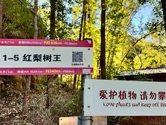 -北京密云天门山风景区