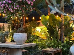 -自由生长植物工作室(深港花卉中心店)