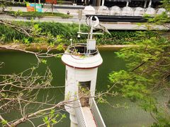 -福田红树林生态公园