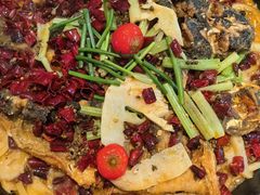 -老板恋上鱼(恒隆广场店)