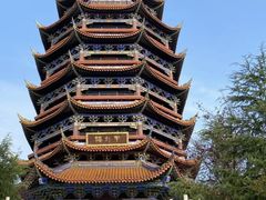 -铁山坪森林公园