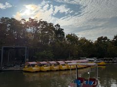 -上海海湾国家森林公园