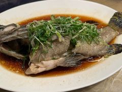 -東海薈。拉斐特(青衣城店)