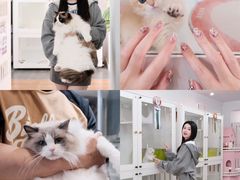 -青奢宠物·青奢猫舍
