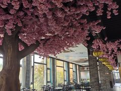 -阮老二·羊肉汤(黄甲店)