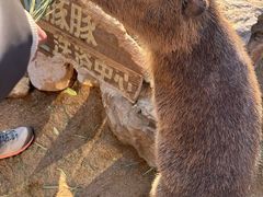 -茅山东方盐湖城景区
