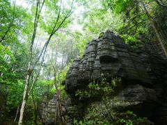 -梭布垭石林景区