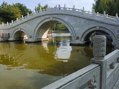 -迎泽公园