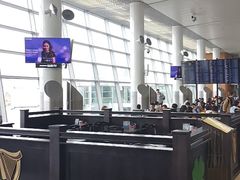 -谢列梅捷沃国际机场