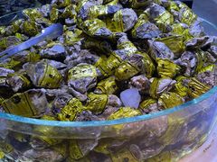 -聚盛源蒸汽海鲜火锅烤肉自助(巨川金海岸购物广场店)