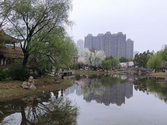 -堤角公园