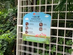 -九龙公园
