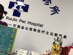 -睿金宠物医院·CT·肿瘤·骨外科