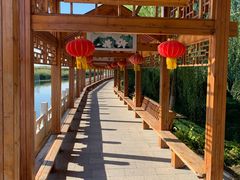 -白洋淀景区