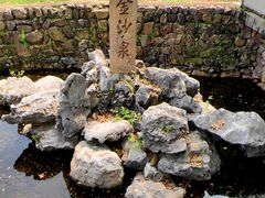 -大唐贡茶院