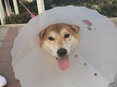 -参差咖啡(水果湖公园店)