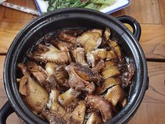 -百家春好德来姜母鸭