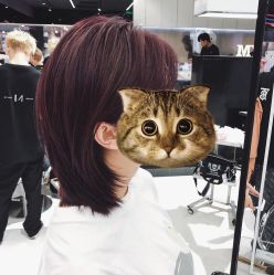 -MY HAIR ARDOR