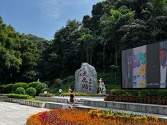 -天鹿湖森林公园
