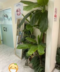 -健身堂科技美肌SPA