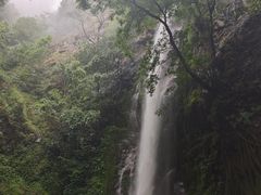 -莫里热带雨林景区