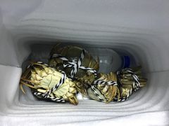 -七的湖·晚芳亭·阳澄湖农家菜·大闸蟹(莲花岛店)