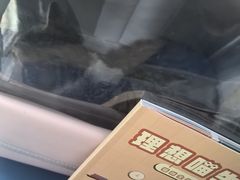 -莘程宠物医院(金山店)
