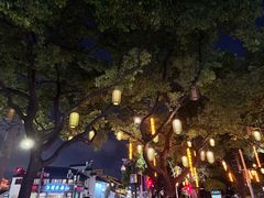 -顽啤熊·酒客酒馆(苏城夜景必选店)