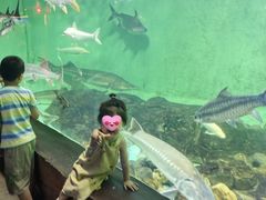 -太平洋海底世界