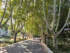 -郑州植物园