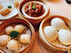 -金苑海鲜酒家(来魅力店)