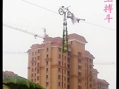 海上搏斗-福州罗源湾海洋世界旅游区