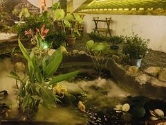 -伴山茶苑·一盏冰茶·半日山居