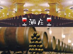 -北京张裕爱斐堡酒庄
