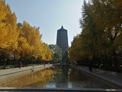 -玲珑塔公园