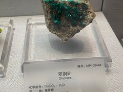 -湖南省地质博物馆